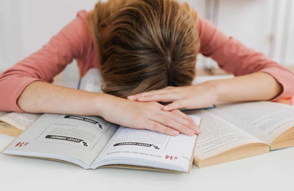 guiadelestudiante.es